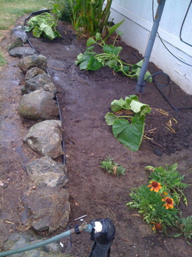 Nicely situated in their new abodes.