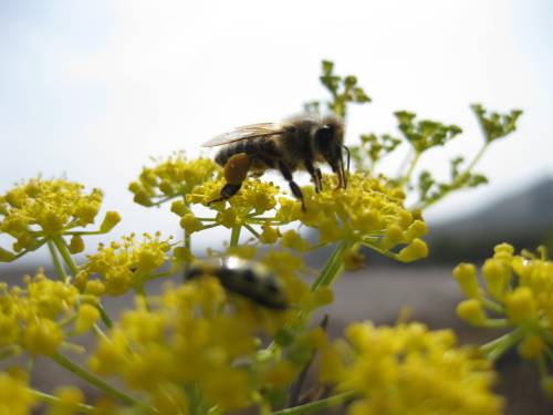 photo by Cassie Picture by Cassie